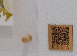 3497465327326580860_49231564033_3